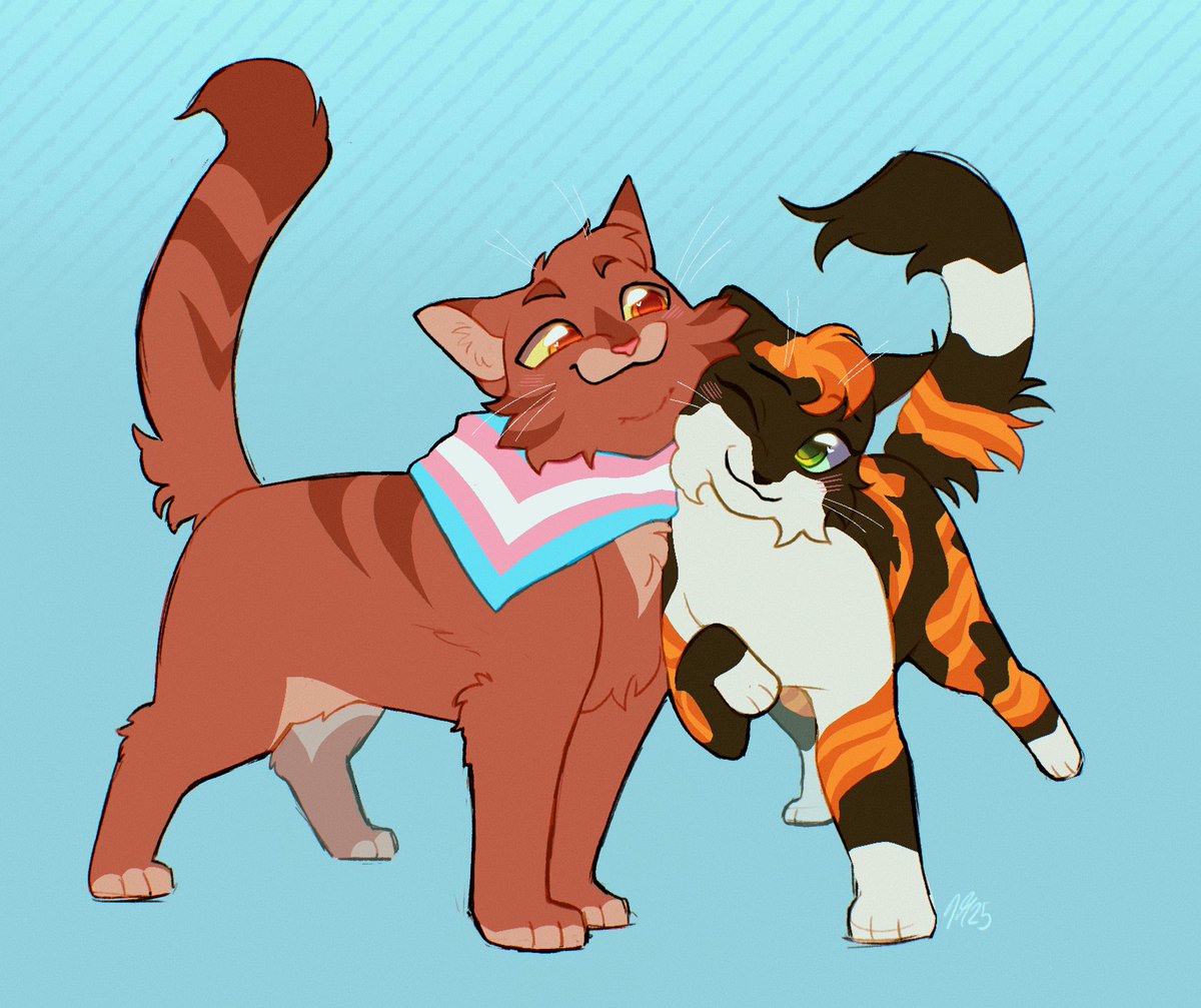 catmintYT's tweet image. pefore pride month's over I had to draw rowanclaw and his loving and supportive wife, tawnypelt!! 
💙💗🤍💗💙
#warriorcats #rowanclaw #tawnypelt #pridemonth #pride2025