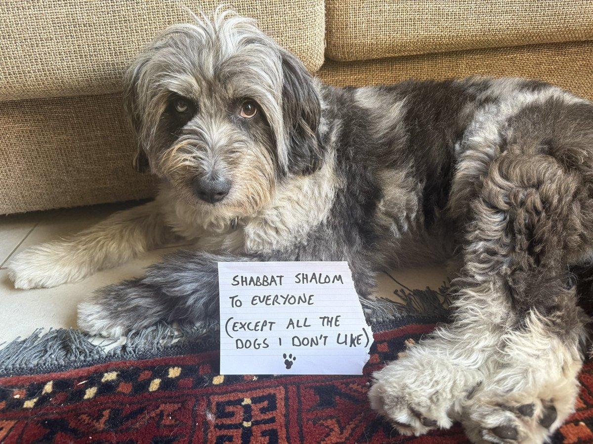 Shabbat shalom from Noah 🇮🇱