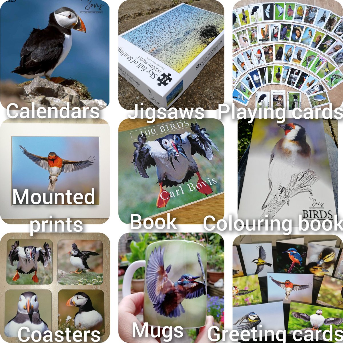 June is so quiet in my shop.
 I went to post a handful of outstanding orders today &amp; the post office girl said 'Hi Carl, where have you been? We thought you'd emigrated!'
  If you'd like some of my bird calendars, books, cards, prints etc, here's my shop;
carlbovis.com/shop-3