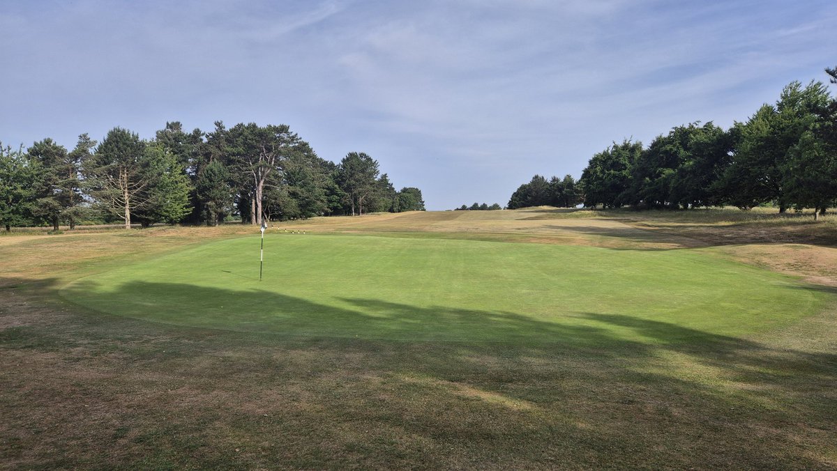 Aaron Bowen (@aaronbowen28) on Twitter photo Tremendous effort inn tough conditions by <a href="/GogMagogTeam/">Gog Magog Estates Team</a> to maintain moistures and turf conditions for <a href="/RandA/">The R&A</a> Open Qualifying. So proud of what they have achieved this year in our events to deliver for <a href="/gogmagog_golf/">The Gog Magog G.C.</a> 👏🏼
The Ol Girl will be firm & fast by Monday 🤌🏼
<a href="/BIGGALtd/">British & International Golf Greenkeepers Assn.</a> Tremendous effort inn tough conditions by <a href="/GogMagogTeam/">Gog Magog Estates Team</a> to maintain moistures and turf conditions for <a href="/RandA/">The R&A</a> Open Qualifying. So proud of what they have achieved this year in our events to deliver for <a href="/gogmagog_golf/">The Gog Magog G.C.</a> 👏🏼
The Ol Girl will be firm & fast by Monday 🤌🏼
<a href="/BIGGALtd/">British & International Golf Greenkeepers Assn.</a>
