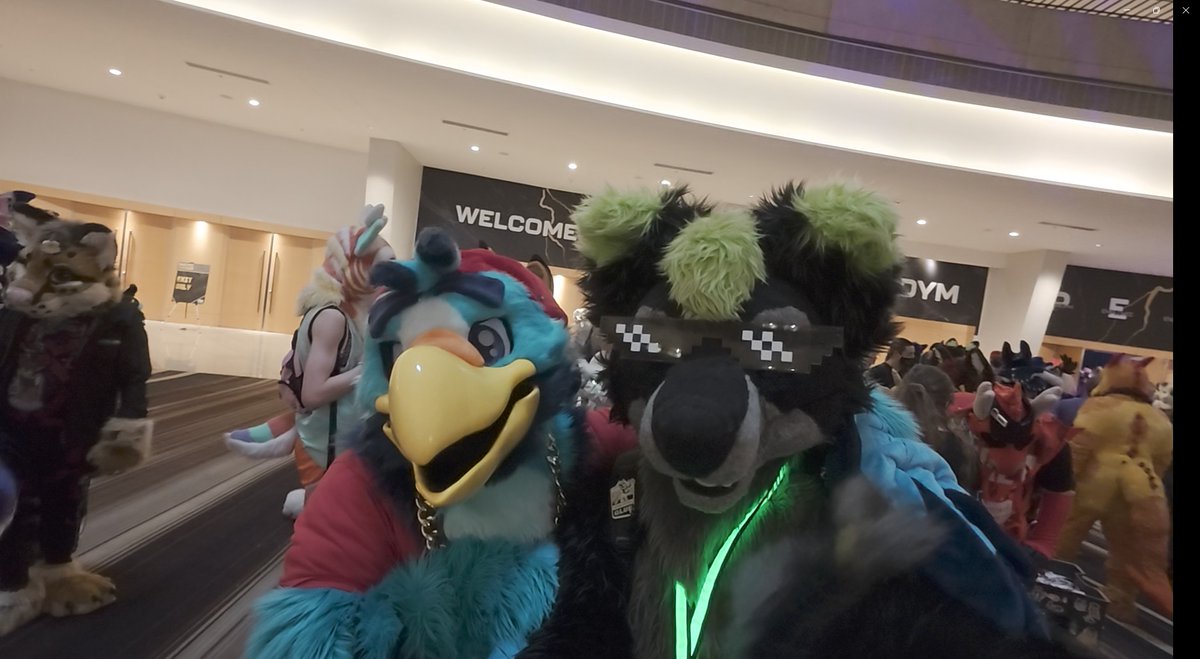 kalashthewolf's tweet photo. #FursuitFriday 
me and Adler the eagle
@adlertheeagle.bsky.social
 @FurryWeekend https://t.co/ZoUrZUWxGY