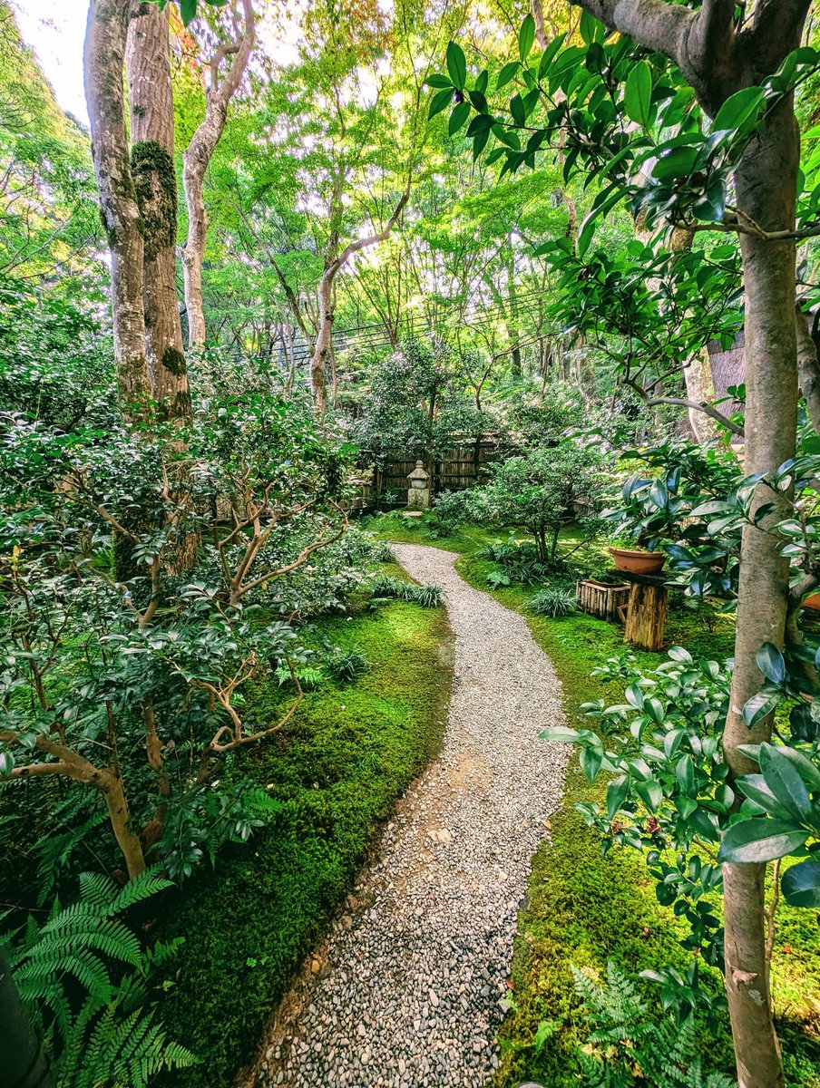williampueyo's tweet image. #kyoto #JAPAN #NaturePhotography #nature撮影会 #nature #PHOTOMO撮影会 #photographyoftheday #photos #photo #travelphotography #TravelTheWorld #travel #VOYAGE #GoodMorningEveryone