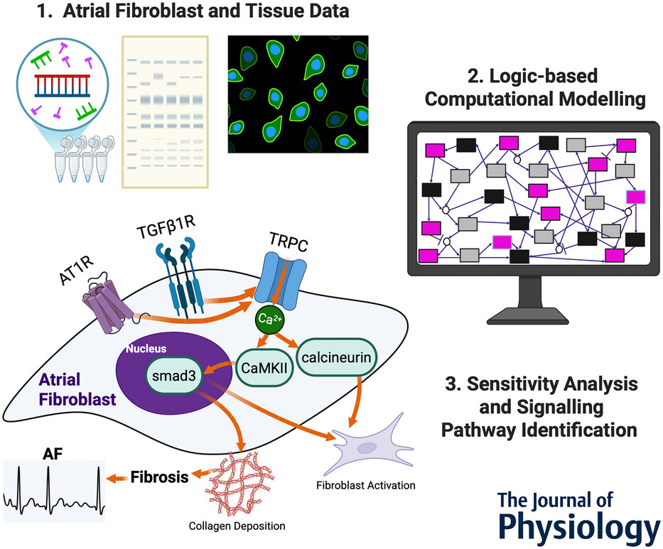 Stefano Morotti tweet media