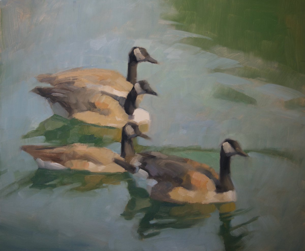 lgseebach's tweet photo. This morning's oil study of Canadian geese - 30"x36" oil on linen #100daysofpainting #art #oilpainting #paintings #painting #artists #painterlypainter #artists #artistsontwitter #madeinamerica #dashpay https://t.co/PoltIfaxEi