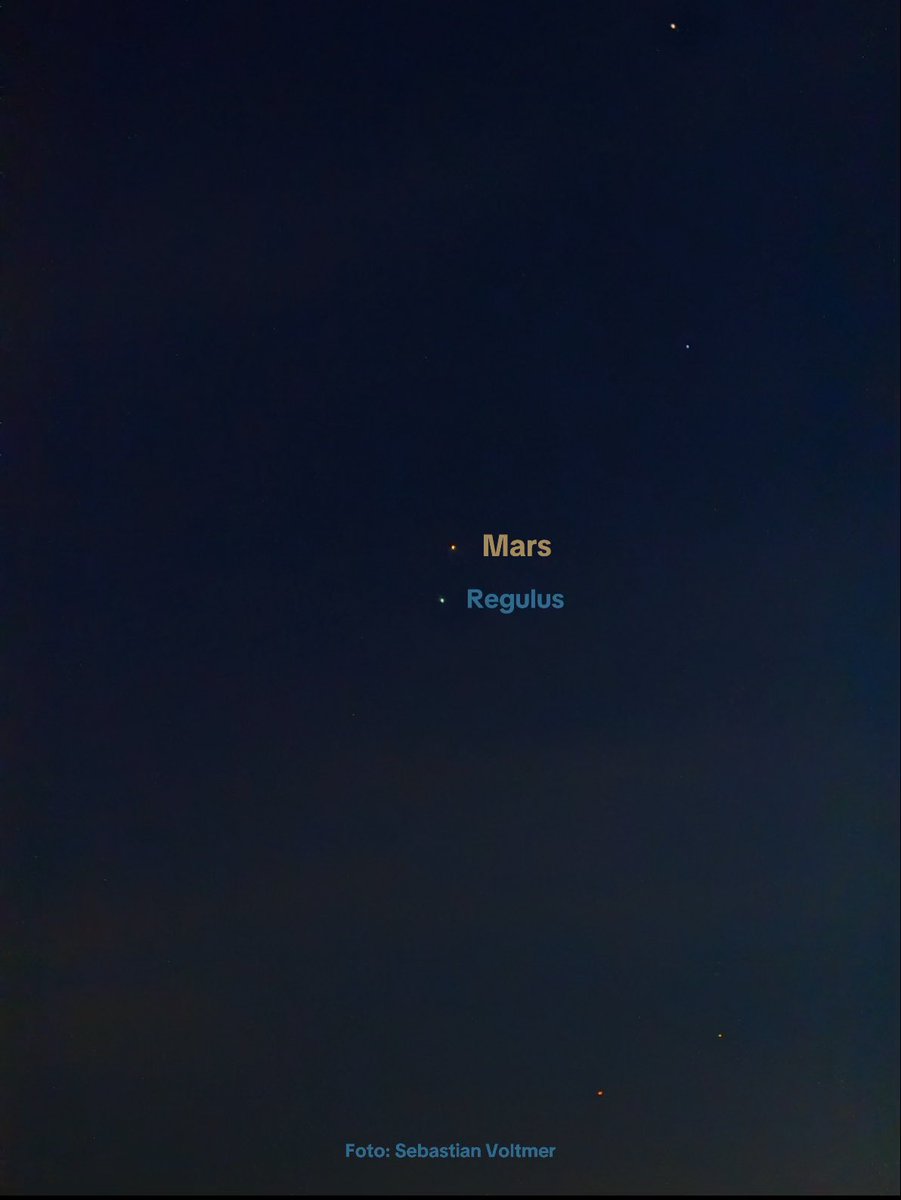 Mars zieht gerade am Hauptstern des Löwen – Regulus – vorbei. Clear Skies und Happy Summer Solstice!

#planet #mars #stern #regulus #funfacts #astronomy #sterne #astrophotography #sebastianvoltmer