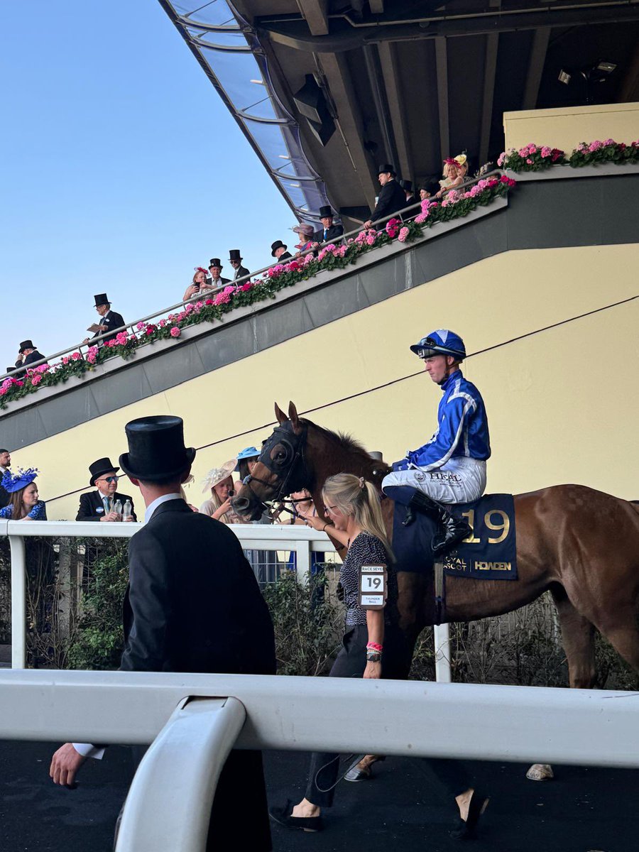BToomeyRacing's tweet image. Absolutely delighted to have my first runner at Royal Ascot owned by Tony Bloom just under 20months into training