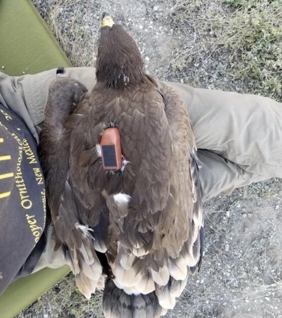 Haritaları Keşfediyoruz tweet media