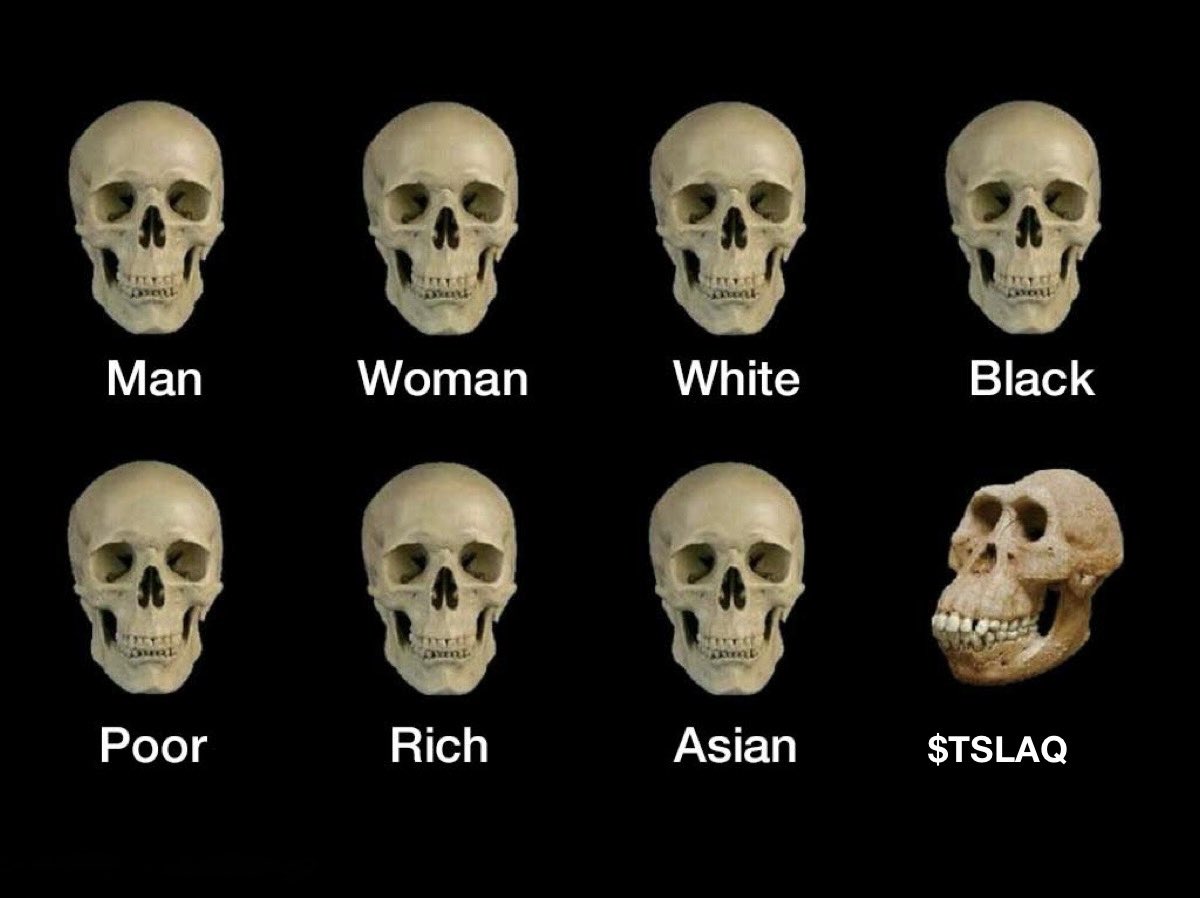 Mass extinction event incoming…in 2 days🚨