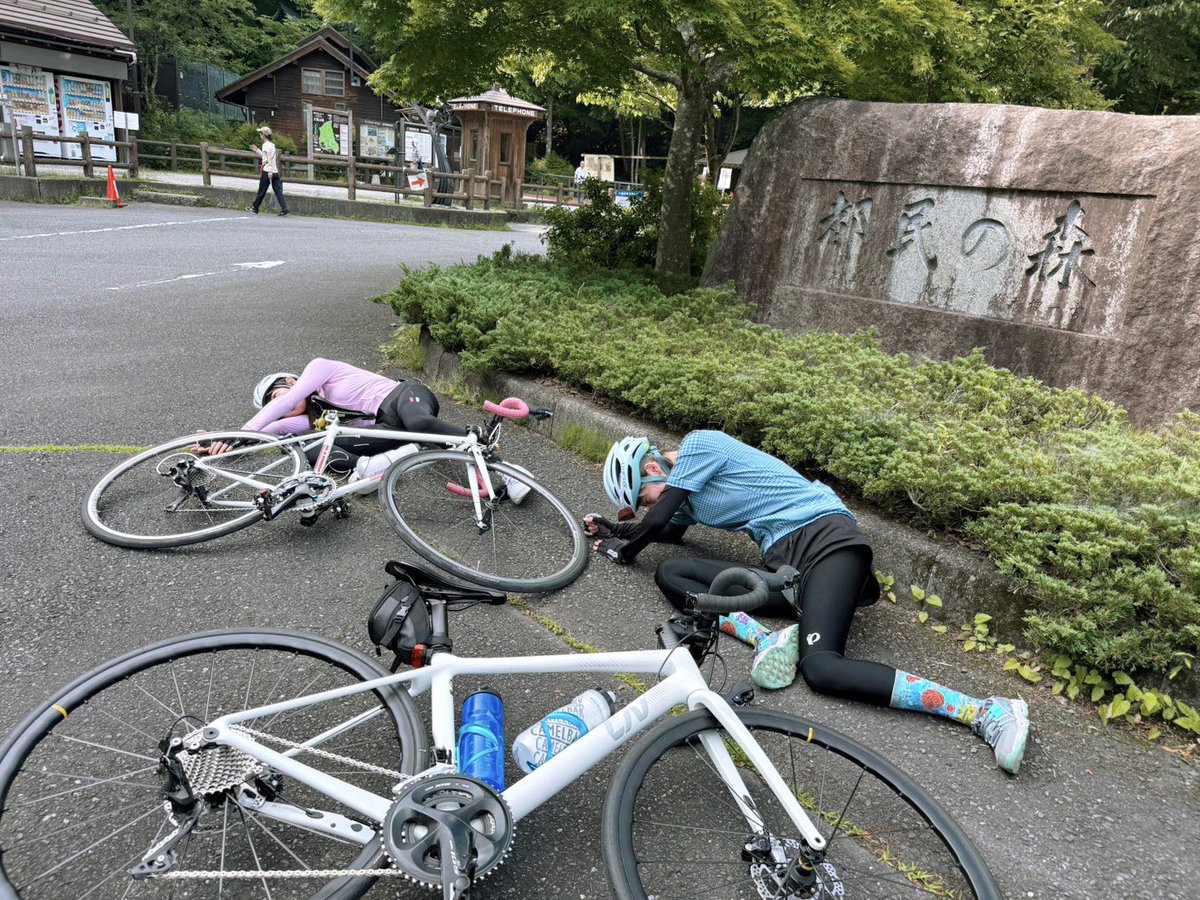 ヤムチャみたい…😂
あーやんの都民の森リベンジマッチに付き合ったら、暑すぎて私のほうがよっぽどバテバテだった…死