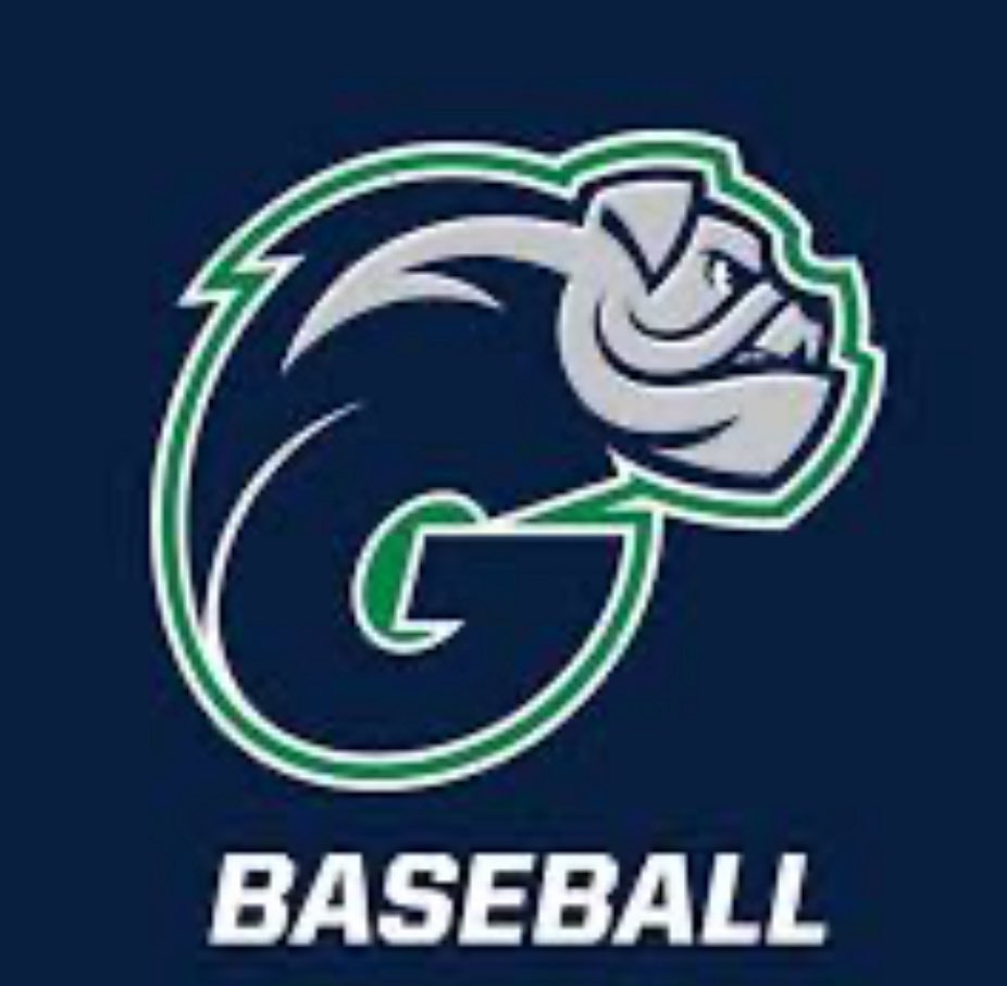 PatrickCorley11's tweet image. Excited to announce that I will be playing my final year at Ave Maria. Thank you to Coach @NateMarko2. @GyreneBaseball @16RobCooper