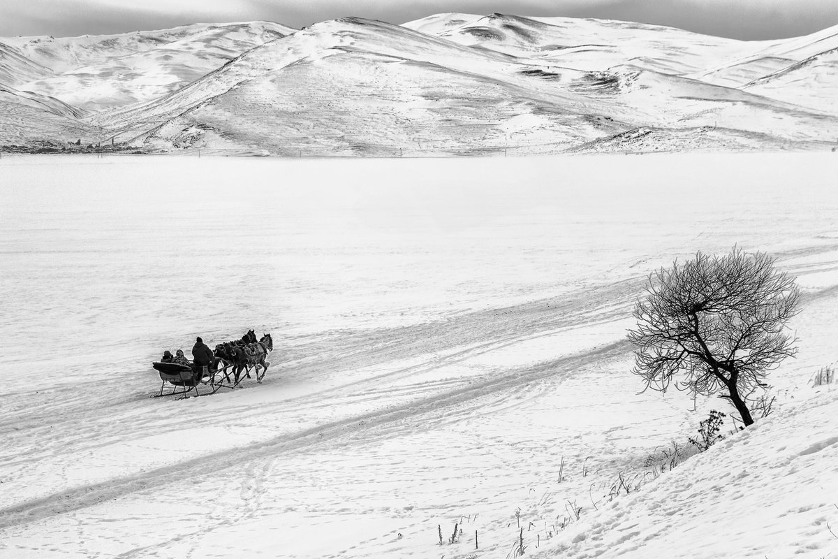 S O L D 

Thank you dear <a href="/rosstintexas/">rossabrown.eth</a> for collecting “Dreamy Journey” 🤍🙏🏻

“Dreamy Journey” on <a href="/objktcom/">objkt</a> 
3 / 10
5 xtz

📎