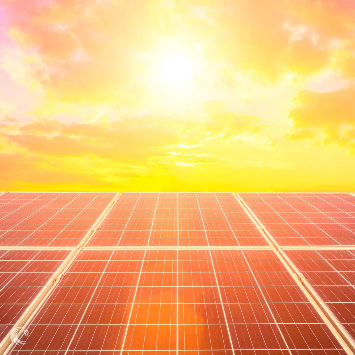 New Wave Energy tweet media