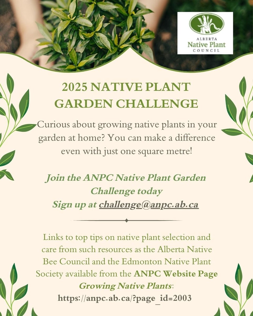 Find all our resources on growing native plants here: anpc.ab.ca/?page_id=2003

Find more information about the native plant garden challenge on our website: anpc.ab.ca/?page_id=7244