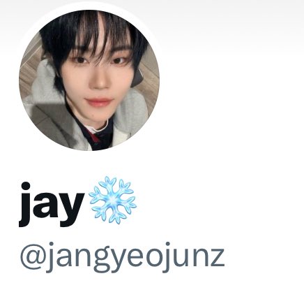 jangyeojunz's tweet photo. HELLO OOMFS LETS ALL PUT A SNOWFLAKE IN OUR DN TO SHOW SUPPORT OF CYE’S CB😛❄️ https://t.co/klzgqCMWMH