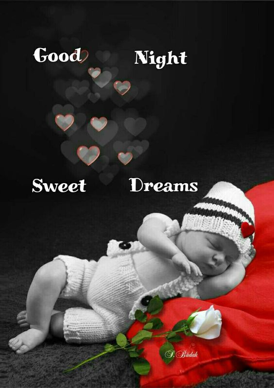 May God bless you with peaceful sleep and wake to a beautiful new day . 
Good night dear X friends 🌹