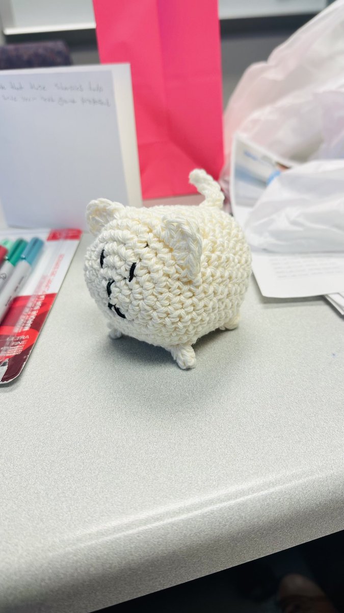 One grant didn’t get funded, but the other one got approved, but look what made my day! My student gave me a sweet card with a kind message, Sharpie markers, and a surprise gift (can you guess what it is? I guessed wrong!). And yes— it’s a cat 😄 He made it all by himself.