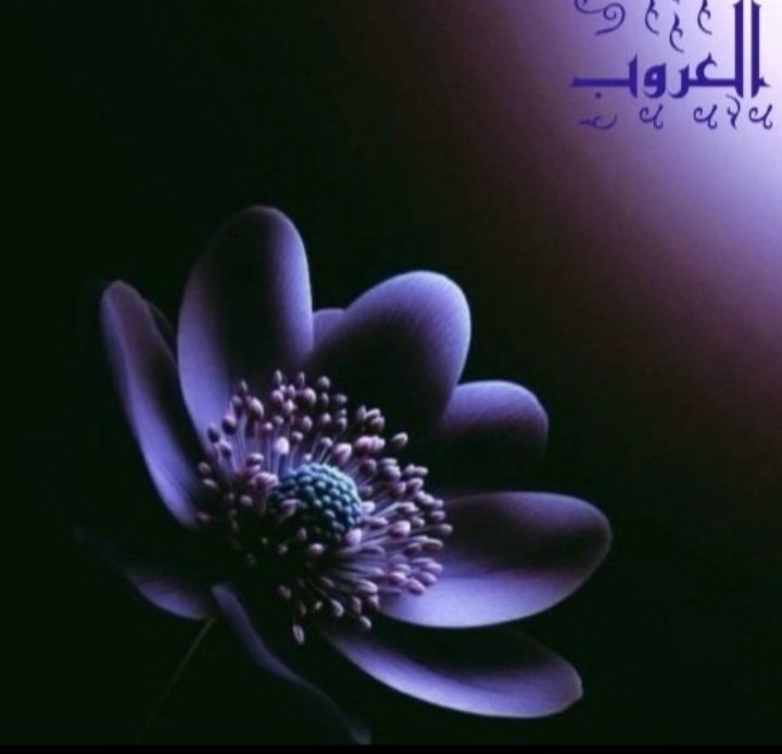 ي خذني الحنين 
إلى حضن أمي كل حين . . .