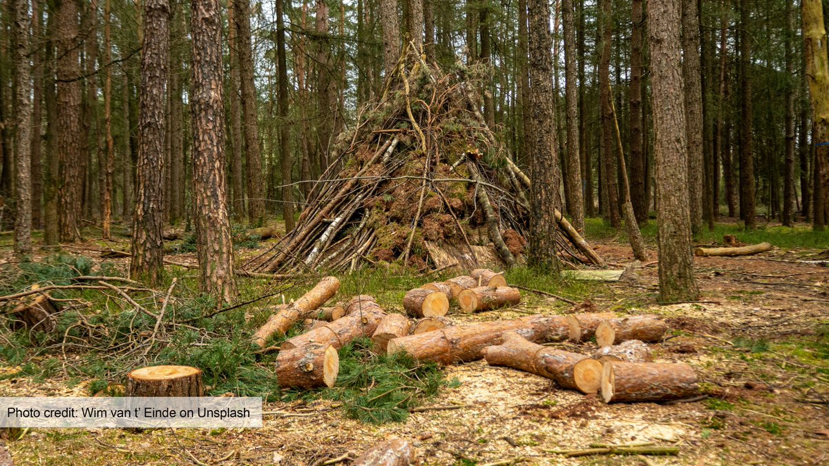 New #AREUpdate article “Reusing Biomass to Address California’s Environmental and Economics Challenges” by David Wells Roland-Holst and David Zilberman explores how waste products can enhance California’s energy independence. More: tinyurl.com/52s3je3s #Bioeconomy #Biofuels