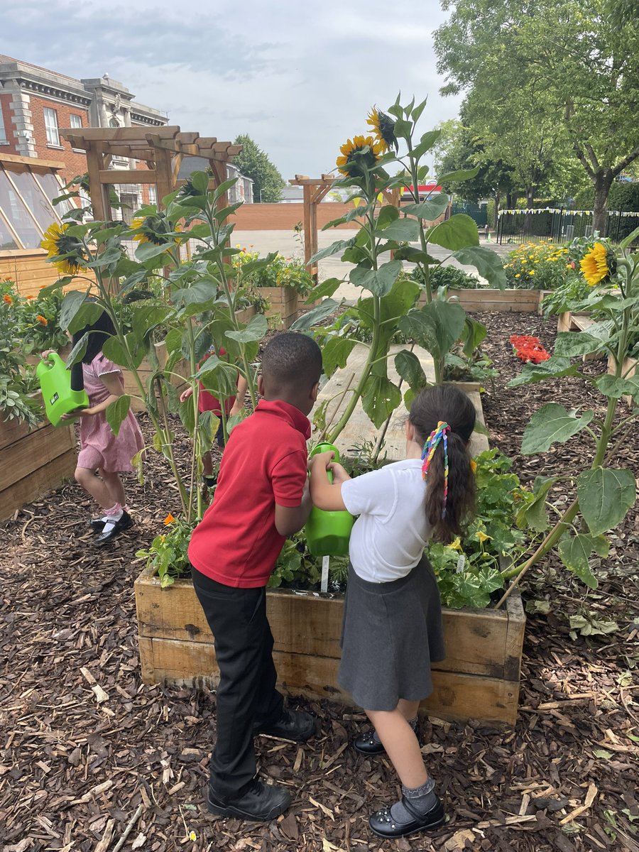 St Peter's RC Primary tweet media