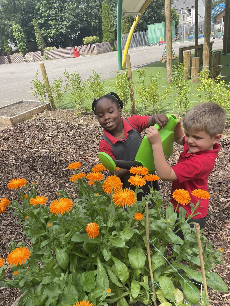 St Peter's RC Primary tweet media