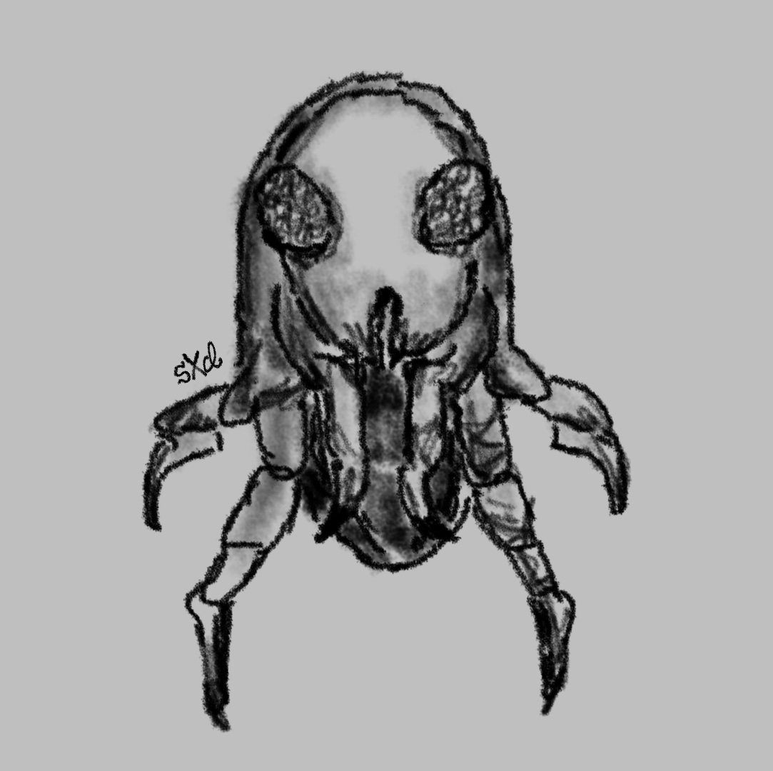 Alt ver. 
He’s just a scrungly