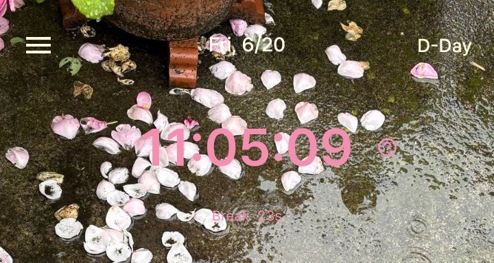 studywenn's tweet image. 062025 | 11h5m studylog 📑 

i worked on our org's re-accreditation for the new academic year ^_^ &amp;amp; i've also finished ws1 for our genetics problem set 

#studytwt