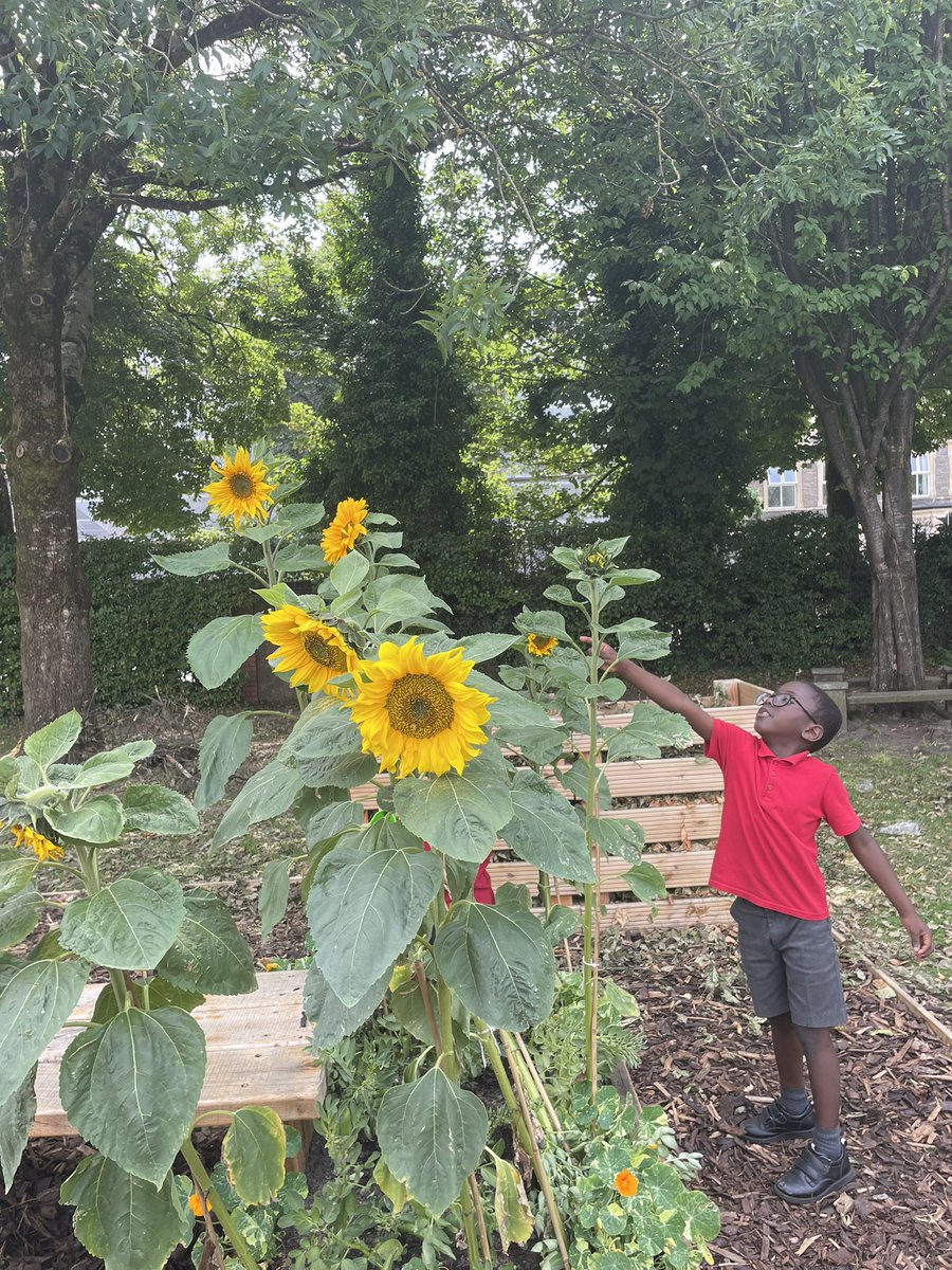 St Peter's RC Primary tweet media