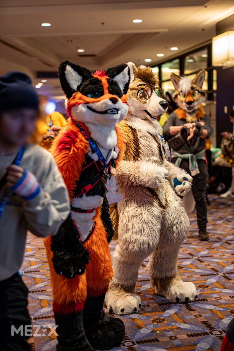 It’s always a great time hanging out with <a href="/ChaseRedFox/">Chase the Fox</a> I look forward to seeing you again sometime. 

#MFF2024
📸:<a href="/MezixVR/">Mezix</a> 
#FursuitFriday
