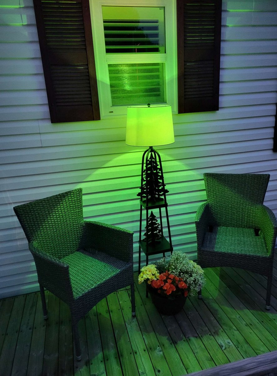 GO GREEN CANADA! We’ve received some fantastic photos from community members who lit up their homes in green for #WorldKidneyCancerDay — thank you all for your amazing participation!

#kidneycancer