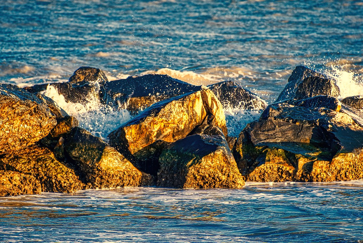 Vivida 🌻 (@vividaphotopc) on Twitter photo 