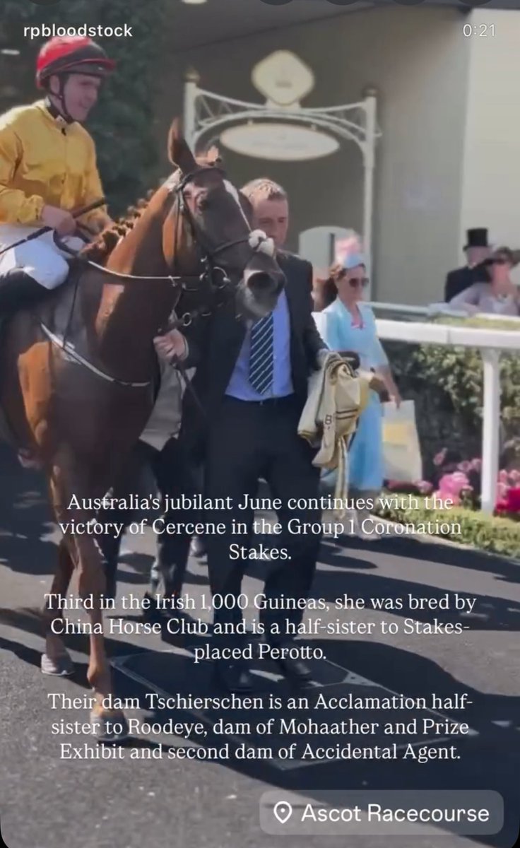 Just fantastic!!! Cercene wins the Gr1 Coronation Stakes - bred &amp; raised in <a href="/barodastud/">baroda</a> for our clients @china_horse_club 👏 Welldone Joe Murphy &amp; <a href="/garycarroll/">Gary Carroll</a> (fun fact:- now has 2 Ascot winners on Baroda born horses 🏇🏻🙌)