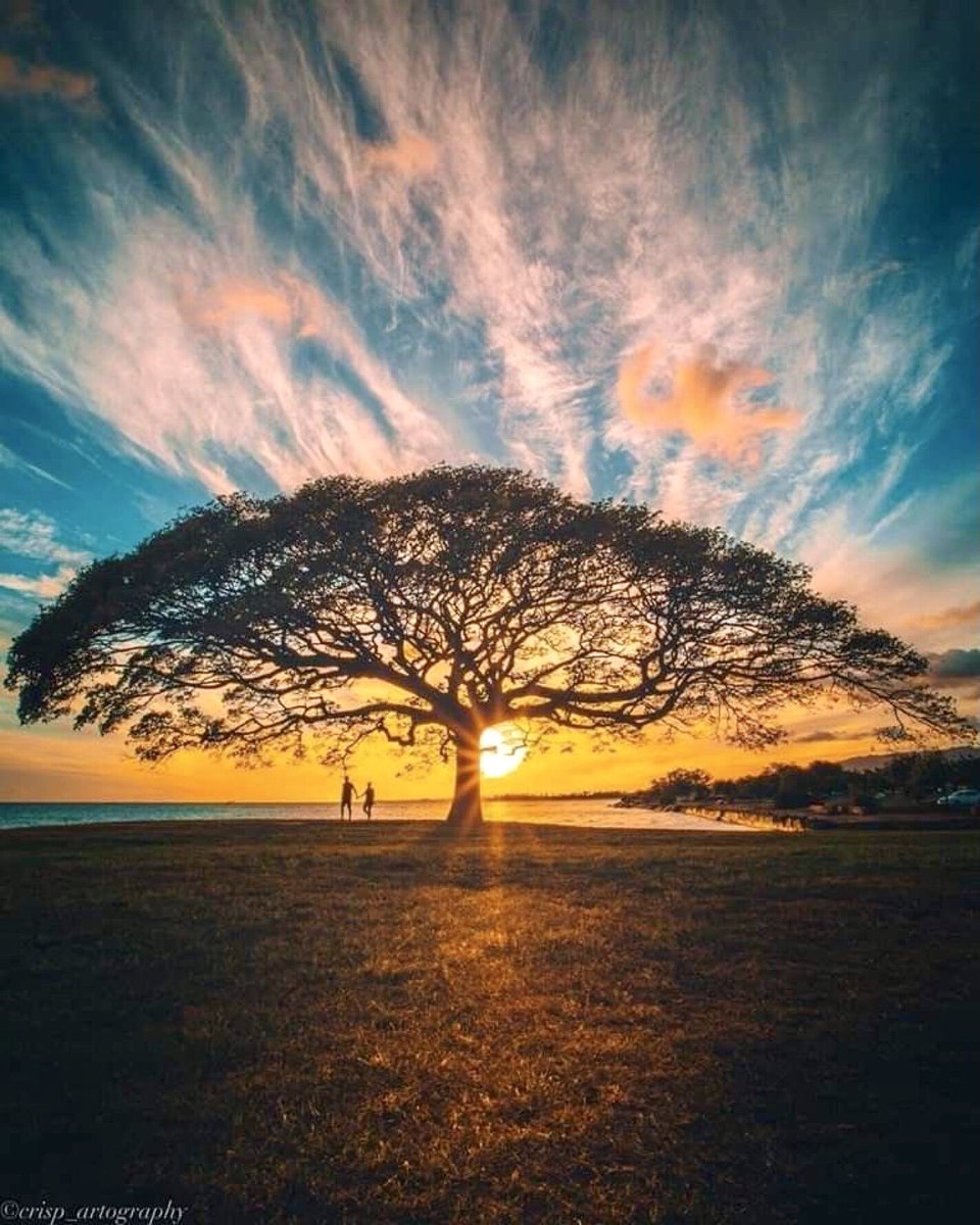 Love is friendship that has caught fire. It is quiet understanding, mutual confidence, sharing and giving. It is loyalty through good and bad times.
- Ann Landers 

#StephenSanchez
Until I Found You ❤️ (love music) youtu.be/GxldQ9eX2wo?si…

📸 Morning in Honolulu, Hawaii 🇺🇸