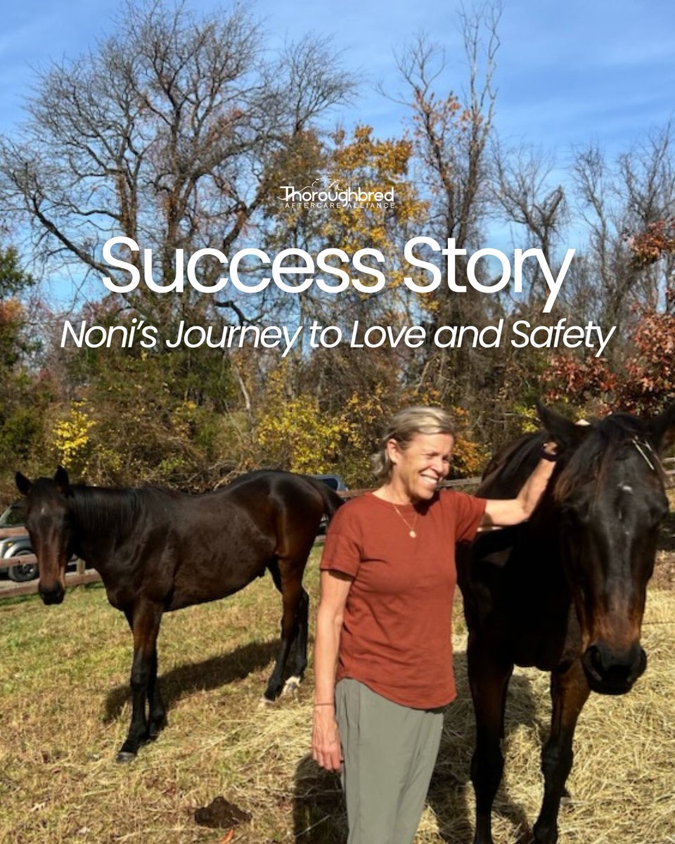Our newest success story is one you don't want to miss! ⭐ 

“This big bay mare is a sweet, gentle giant,” Leslie said. “Just this morning I was combing her mane and she bent her neck to look at me and we nuzzled face to face.” Thanks to a well-timed call, Noni found her forever