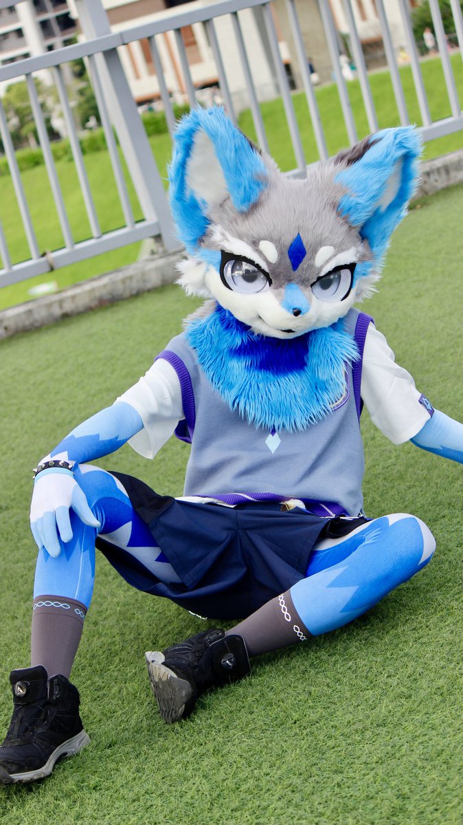 餒，不來坐一下嗎？
📷 : 黃順恩 
#FursuitEveryday