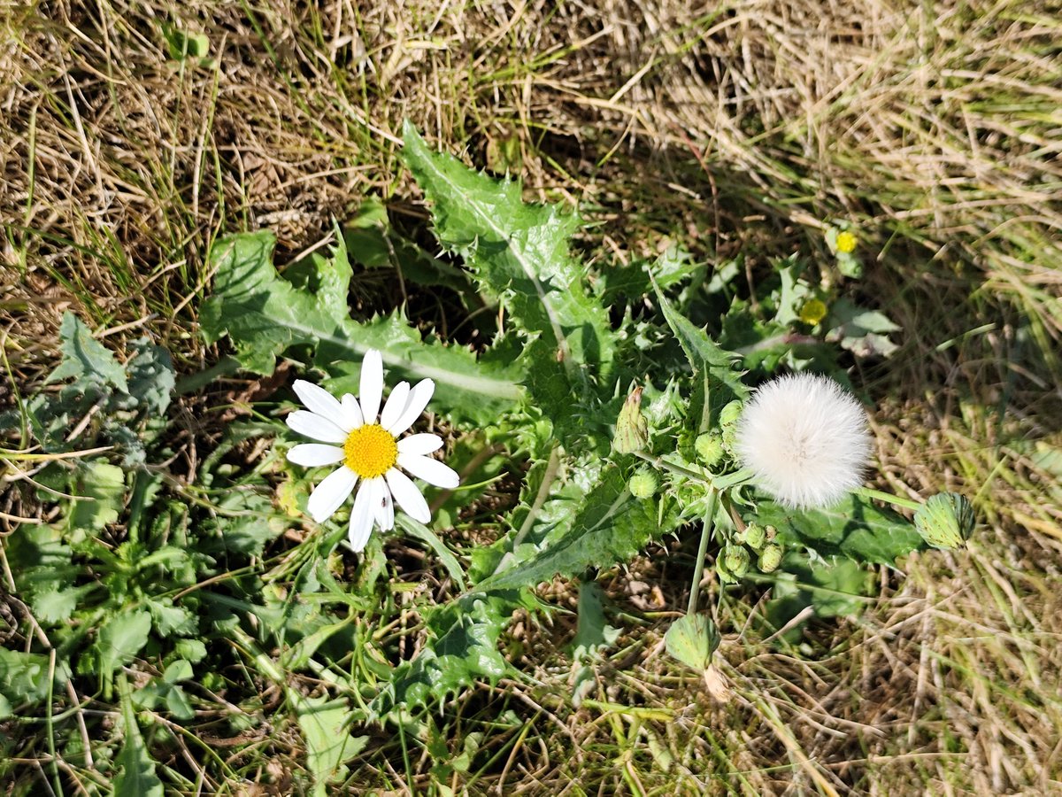 jean-marie roudier (@jean_roudier) on Twitter photo 