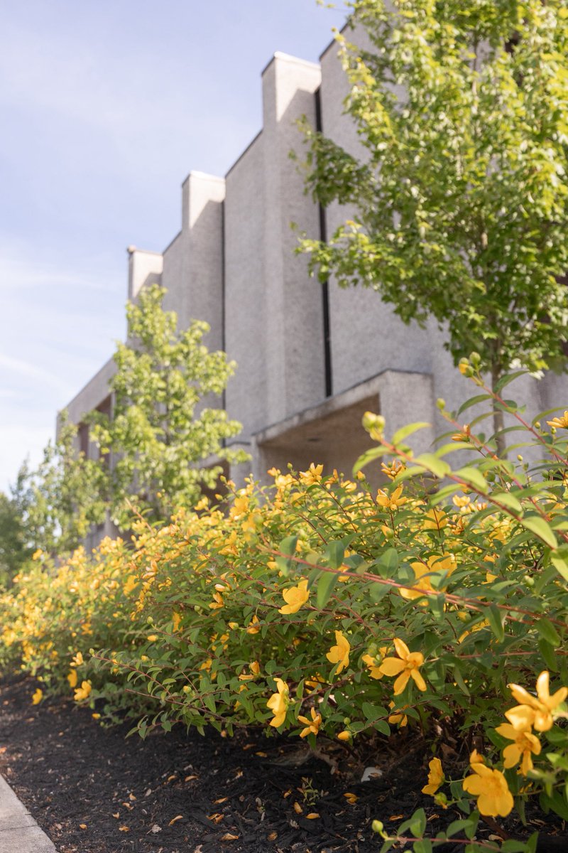 It’s officially summer in the ‘Boro. 😎☀️ What’re your plans this summer? ⬇️