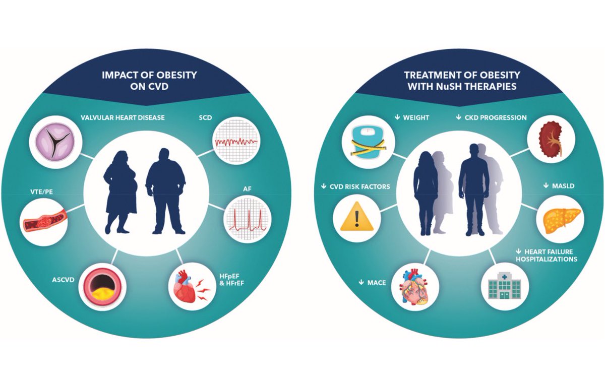 DrMarthaGulati's tweet image. Our statement is out:
2025 Concise Clinical Guidance: An @ACCinTouch Expert Consensus Statement on Medical Weight Management for Optimization of Cardiovascular Health
📎 jacc.org/doi/10.1016/j.…
Honour to cochaired this with @DrOliviaGilbert ♥️