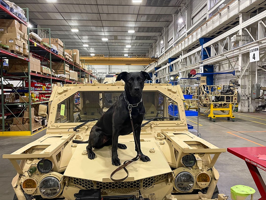 Take Your Dog to Work Day is every day for our dedicated K9 units, who are committed to using their skills to protect the Commonwealth. #TakeYourDogToWorkDay