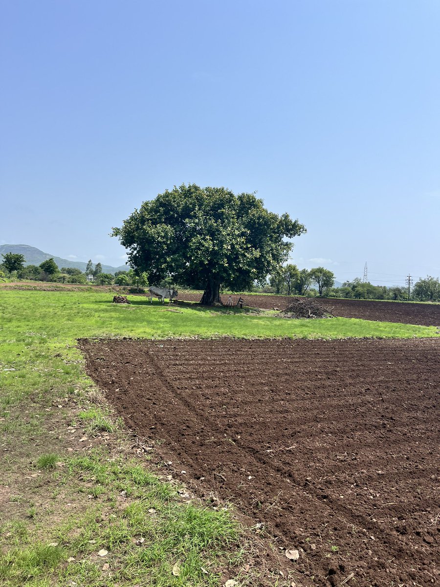 Sangram Chavan ARS tweet media