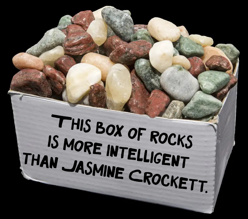 Jasmine Crockett Actually Thinks Trump, GOP ‘Really Like’ Her dailycaller.com/2025/05/29/jas… via @dailycaller