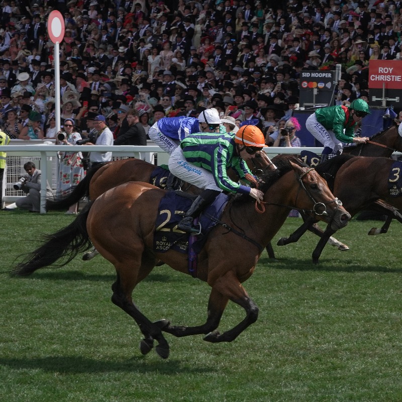 International Thoroughbred (@interthorough) on Twitter photo Venetian Sun wins G3 Albany: <a href="/HoStud/">Tally-Ho Stud</a>-based Starman is only 3 mths with rnrs, but already has had 2x G3 wnrs, both fillies from <a href="/HoStud/">Tally-Ho Stud</a>
Sands Of Mali: gets 1st G1 wnr โ Time For Sandals, Commonwealth Cup. Bought โฌ35k <a href="/Tattersalls_ie/">Tattersalls Ireland</a>, bred <a href="/BallyhaneStud/">Ballyhane Stud</a>
Photos: <a href="/deborahburt1/">Debbie Burt</a> Venetian Sun wins G3 Albany: <a href="/HoStud/">Tally-Ho Stud</a>-based Starman is only 3 mths with rnrs, but already has had 2x G3 wnrs, both fillies from <a href="/HoStud/">Tally-Ho Stud</a>
Sands Of Mali: gets 1st G1 wnr โ Time For Sandals, Commonwealth Cup. Bought โฌ35k <a href="/Tattersalls_ie/">Tattersalls Ireland</a>, bred <a href="/BallyhaneStud/">Ballyhane Stud</a>
Photos: <a href="/deborahburt1/">Debbie Burt</a>