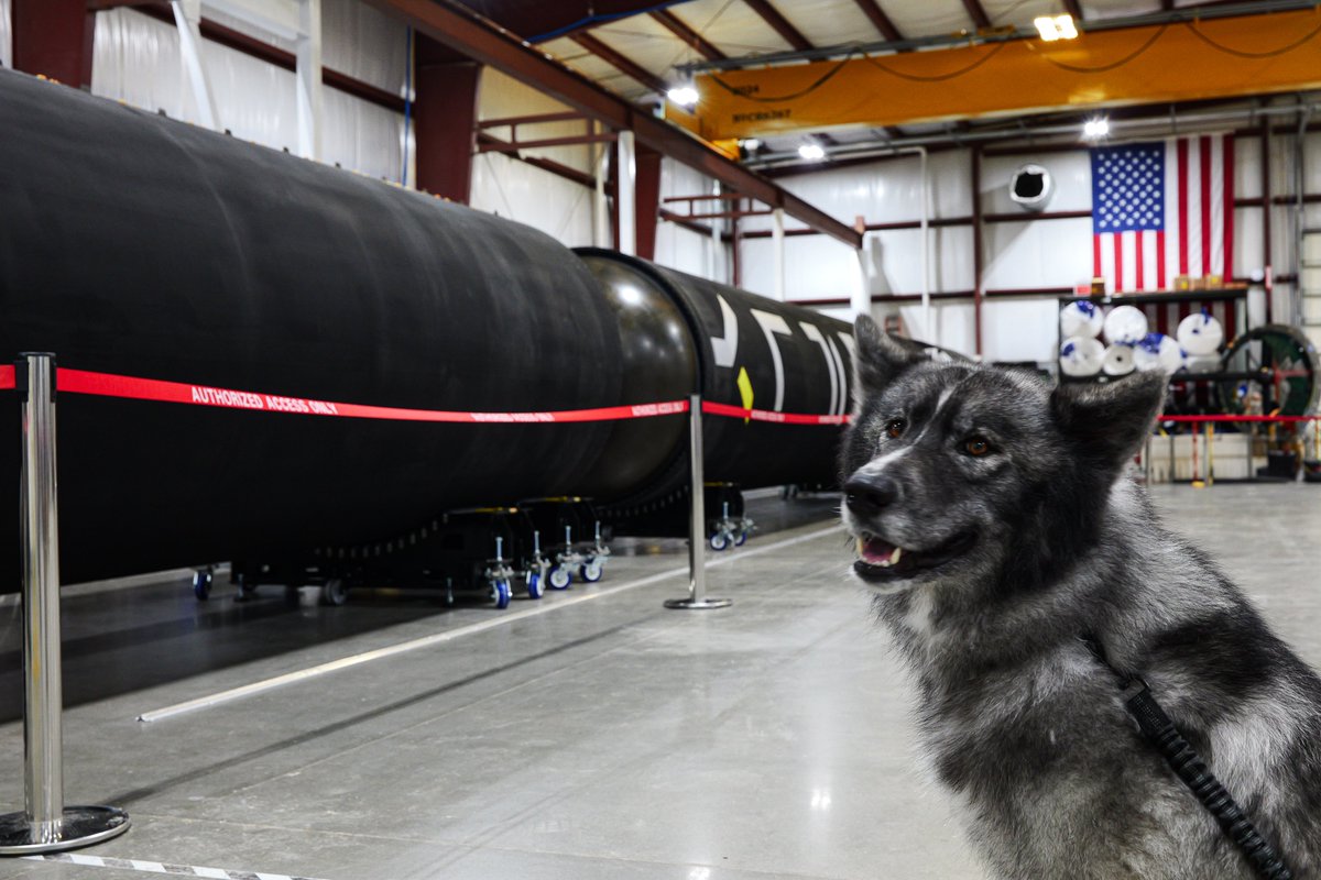 Firefly_Space's tweet image. While we're busy building rockets and spacecraft, our four-legged team members are providing the best kind of mission support – tail wags and belly rubs! #BringYourDogToWorkDay is every day here, one of the many perks of working at Firefly. Check out our open roles here:…