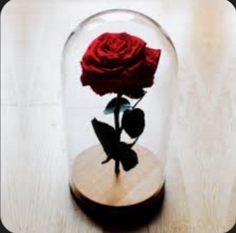 Eres la aurora en el día,
el manto azul de mi cielo,
eres mariposa en vuelo
cantando mi melodía;
Eres verso en poesía
que al leerlo no se olvida,
eres la hoguera encendida
que arropa con su calor,
eres pétalo de amor
en la rosa de la vida.
#DécimasDelAlma 
#CubaEsAmor 🌹❤️