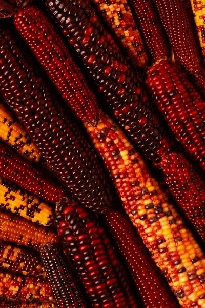 𝓜𝓮𝓱𝓻𝓲💫 (@meh_thinks) on Twitter photo 