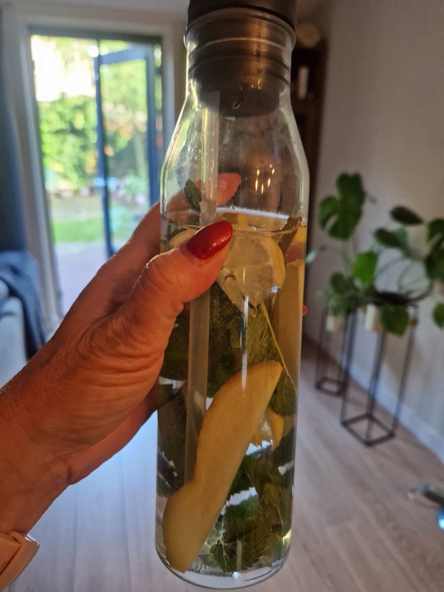 Marjolein1402's tweet photo. Hydrateren kun je leren.. En zo is het echt een feestje. Hele dagen aan 't water.. 
#munt #gember #citroen
.. En vanavond aan de wijn 🥂 https://t.co/ySwxKsdhEj