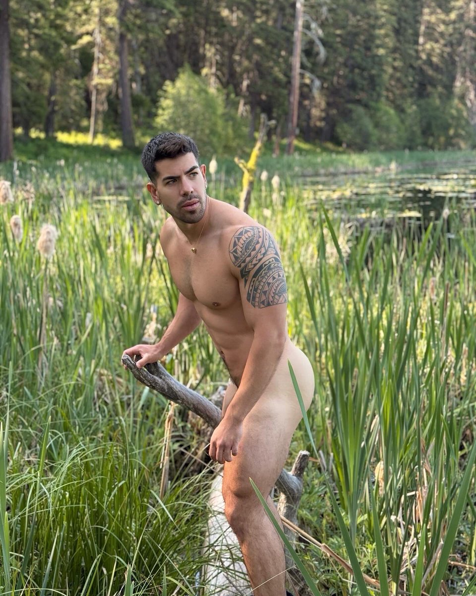 Luis Fer tweet media