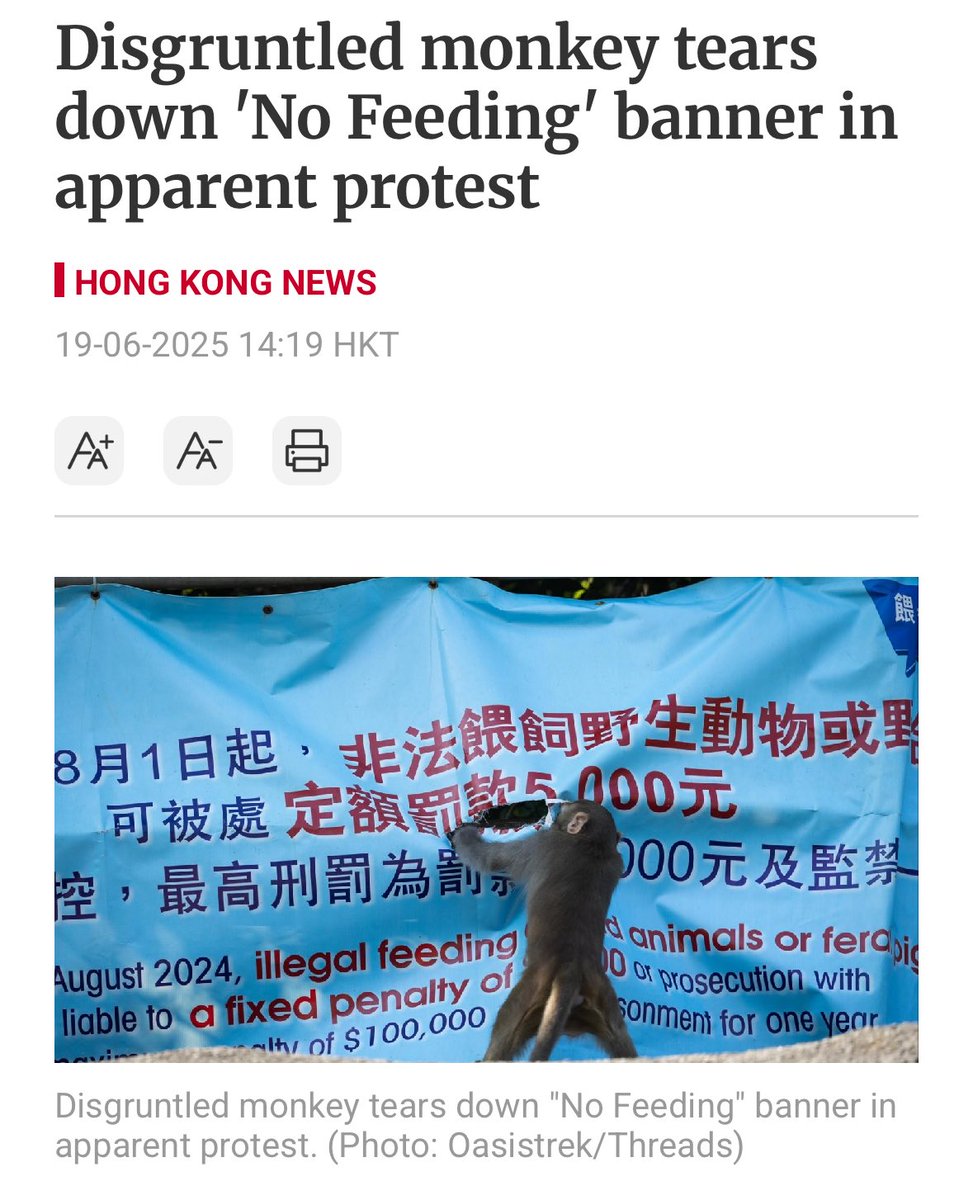 The absurd man can only drain everything to the bitter end. ... The absurd is his extreme tension, which he maintains constantly by solitary effort, for he knows that in that consciousness and in that day-to-day revolt he gives proof of his only truth, which is defiance.