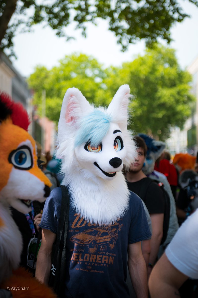 lets walk through the city together on this #FursuitFriday

📸 <a href="/VayCharr/">Vay ➡️ CFZ</a> 
🪡 <a href="/LazyJoySuits/">Lazy Joy</a>