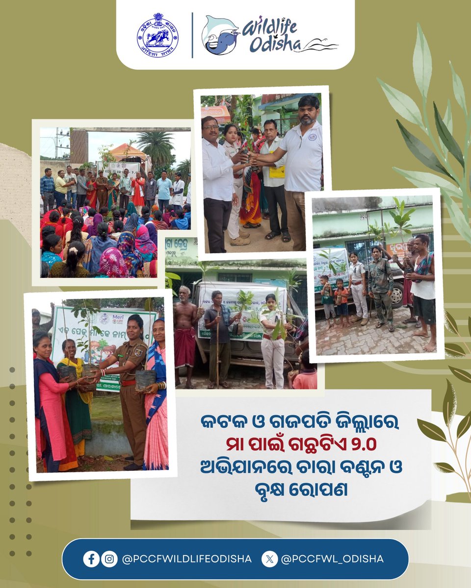 PCCF WL & CWLW, Odisha (@pccfwl_odisha) on Twitter photo "рморм╛' рмкрм╛рмЗрмБ рмЧрмЫ рмЯрм┐рмП рни.рнж" рмЕрмнрм┐рмпрм╛рми рмЕрмзрнАрмирм░рнЗ рммрм┐рмХрм╛рм╢ рммрм╛рм╣рми рмпрм╛рмдрнНрм░рм╛ рмкрм░рм┐рмкрнНрм░рнЗрмХрнНрм╖рнАрм░рнЗ рмХрмЯрмХ рмПрммрмВ рмЧрмЬрмкрмдрм┐ рмЬрм┐рм▓рнНрм▓рм╛рм░ рммрм┐рмнрм┐рмирнНрми рммрнНрм▓рмХ рмПрммрмВ рмЧрнНрм░рм╛рмормкрмЮрнНрмЪрм╛рнЯрмдрм░рнЗ рмЪрм╛рм░рм╛ рммрмгрнНрмЯрми рмПрммрмВ рммрнГрмХрнНрм╖рм░рнЛрмкрмг рмХрм╛рм░рнНрмпрнНрнЯрмХрнНрм░рмо рмЖрнЯрнЛрмЬрми рмХрм░рм╛рмпрм╛рмЗрмерм┐рм▓рм╛ ред рмПрм╣рм┐ рмХрм╛рм░рнНрмпрнНрнЯрмХрнНрм░рмормЧрнБрмбрм╝рм┐рмХ рммрнНрм▓рмХ рм╕рнНрмдрм░рнАрнЯ рмЕрмзрм┐рмХрм╛рм░рнА, рмкрм┐рмЖрм░рмЖрмЗ рм╕рмжрм╕рнНрнЯ, рммрм┐рмнрм┐рмирнНрми рмЕрмирнБрм╖рнНрмарм╛рмирм░ рмЕрмзрм┐рмХрм╛рм░рнА, рммрм┐рмнрм┐рмирнНрми рммрм┐рмнрм╛рмЧ "рморм╛' рмкрм╛рмЗрмБ рмЧрмЫ рмЯрм┐рмП рни.рнж" рмЕрмнрм┐рмпрм╛рми рмЕрмзрнАрмирм░рнЗ рммрм┐рмХрм╛рм╢ рммрм╛рм╣рми рмпрм╛рмдрнНрм░рм╛ рмкрм░рм┐рмкрнНрм░рнЗрмХрнНрм╖рнАрм░рнЗ рмХрмЯрмХ рмПрммрмВ рмЧрмЬрмкрмдрм┐ рмЬрм┐рм▓рнНрм▓рм╛рм░ рммрм┐рмнрм┐рмирнНрми рммрнНрм▓рмХ рмПрммрмВ рмЧрнНрм░рм╛рмормкрмЮрнНрмЪрм╛рнЯрмдрм░рнЗ рмЪрм╛рм░рм╛ рммрмгрнНрмЯрми рмПрммрмВ рммрнГрмХрнНрм╖рм░рнЛрмкрмг рмХрм╛рм░рнНрмпрнНрнЯрмХрнНрм░рмо рмЖрнЯрнЛрмЬрми рмХрм░рм╛рмпрм╛рмЗрмерм┐рм▓рм╛ ред рмПрм╣рм┐ рмХрм╛рм░рнНрмпрнНрнЯрмХрнНрм░рмормЧрнБрмбрм╝рм┐рмХ рммрнНрм▓рмХ рм╕рнНрмдрм░рнАрнЯ рмЕрмзрм┐рмХрм╛рм░рнА, рмкрм┐рмЖрм░рмЖрмЗ рм╕рмжрм╕рнНрнЯ, рммрм┐рмнрм┐рмирнНрми рмЕрмирнБрм╖рнНрмарм╛рмирм░ рмЕрмзрм┐рмХрм╛рм░рнА, рммрм┐рмнрм┐рмирнНрми рммрм┐рмнрм╛рмЧ
