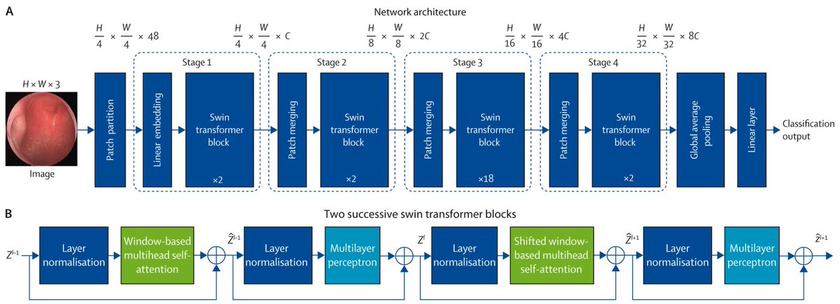 LancetDigitalH's tweet image. NEW Research: #ArtificialIntelligence-assisted detection of nasopharyngeal carcinoma on endoscopic images: a national, multicentre, model development and validation study.
Read it here: thelancet.com/journals/landi…